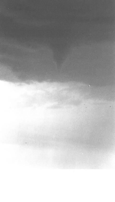 It's a Twister!